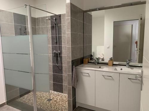 une salle de bain avec une douche, un lavabo et un miroir dans l'établissement Maison confortable et agréable, à Saint-André-de-Cubzac