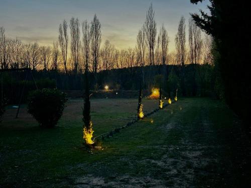 a row of trees in a field at night at Domaine Plan des Devens in Roussillon