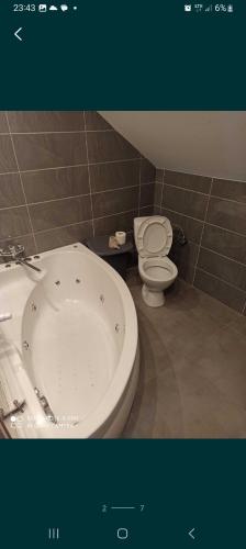 a bathroom with a bath tub and a toilet at Noclegi Pokoje Do Wynajęcia in Ożarów