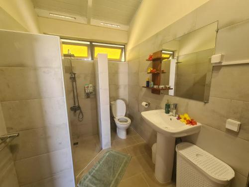 Mahina的住宿－Villa MONOIHERE，一间带水槽、卫生间和淋浴的浴室
