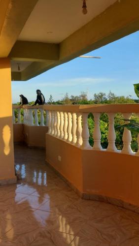 two cats sitting on the railing of a balcony at The Costal Sunny Daze,076 8976 732 in Mombasa