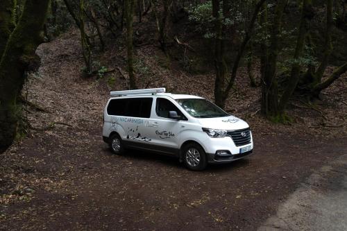 a white van parked on the side of a road at Macaronesia Campervan in Costa Del Silencio