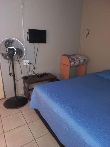 a bedroom with a bed and a fan and a chair at Tanganani guest house in Doornrandjies