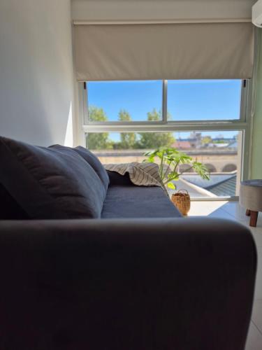 ein Sofa im Wohnzimmer mit Fenster in der Unterkunft BHIaparts-Roca con COCHERA in Bahía Blanca