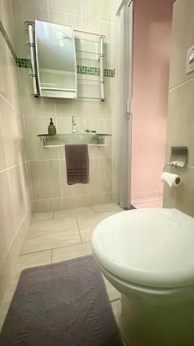 a bathroom with a white toilet and a sink at Sossego e Fé in Ouro Fino