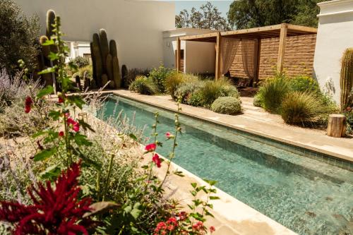 une piscine dans un jardin avec des cactus dans l'établissement El Cortijo Hotel Boutique, à Cachí