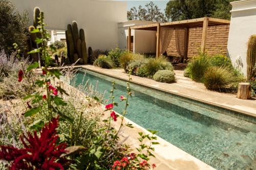 una piscina en un jardín con cactus en El Cortijo Hotel Boutique en Cachí