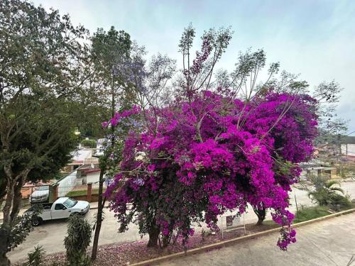 Φωτογραφία από το άλμπουμ του Departamento Lumina Sipeh Xalapa σε Τζαλάπα