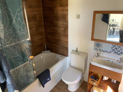 a bathroom with a tub and a toilet and a sink at Alpine Manuka View Cabin in Kaikoura