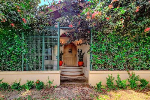 Ein Garten an der Unterkunft Vive Utila - Bed & Breakfast
