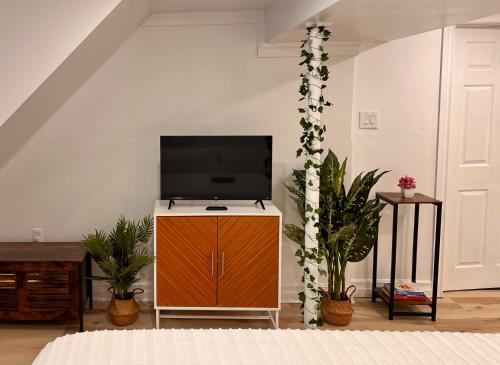 The Boho Oasisにあるテレビまたはエンターテインメントセンター