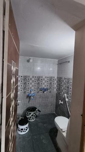 ein Bad mit einem WC und einer Dusche in der Unterkunft Leo home stay in Hampi