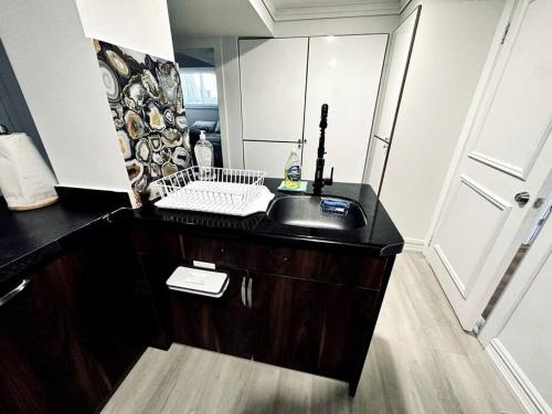 a bathroom with a sink and a mirror at Fully furnished unit in Northyork! in Toronto
