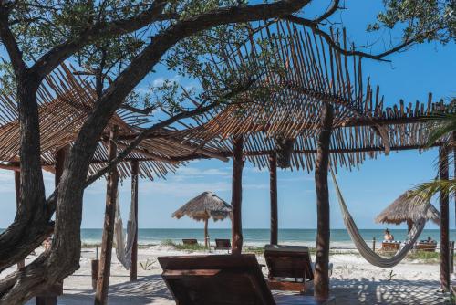 a beach with chairs and umbrellas and the ocean at Casa Takywara in Holbox Island