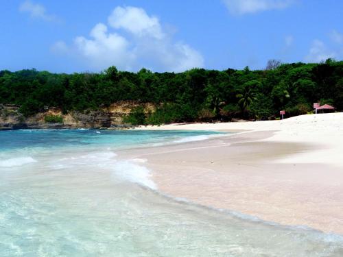 a beach with blue water and trees in the background at Villa LANDREVA in Anse-Bertrand