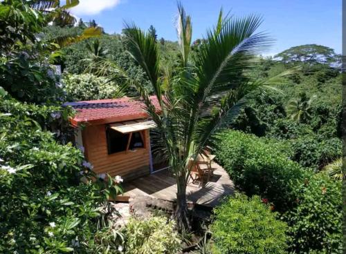 a cabin in the woods with a palm tree in front at Bungalow Moemoea in Punaauia