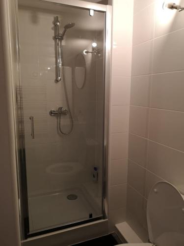 La salle de bains est pourvue d'une douche, de toilettes et d'une porte en verre. dans l'établissement Les Lofts De Livry: Appartement 2, à Livry-Gargan