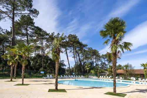 une piscine de villégiature avec des palmiers et des chaises dans l'établissement Cosy Pavillon 2chambres proche mer, à Ondres
