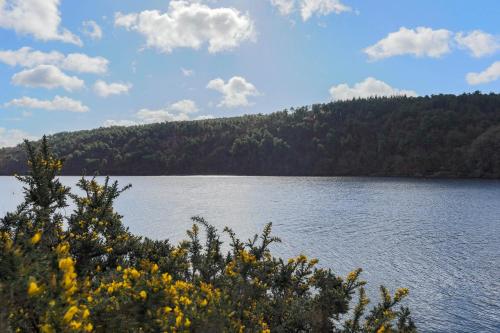a view of a lake with trees in the background at Gite de Kerigochen - Kraou Tomm in Saint-Igeaux
