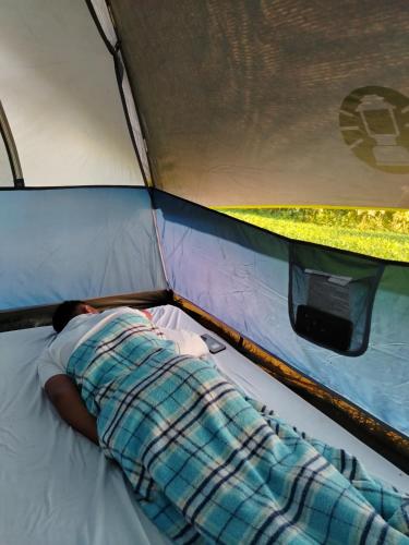 a man laying on a bed in a tent at Campo Duro Ecolodge in Puerto Villamil