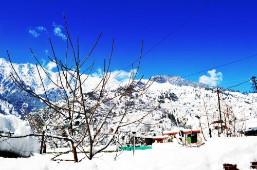 a snow covered mountain with a tree in the foreground at Manali Outdoor Retreat by Sheosante in Manāli