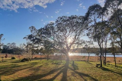 a tree in a field with the sun behind it at Burramere Homestead in Eukey