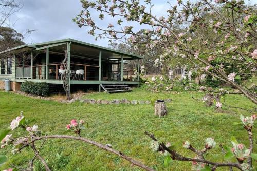a green house in a yard withakura trees at Burramere Homestead in Eukey
