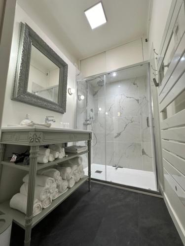 een badkamer met een wastafel en een douche bij Appartement Eugénie in Vichy