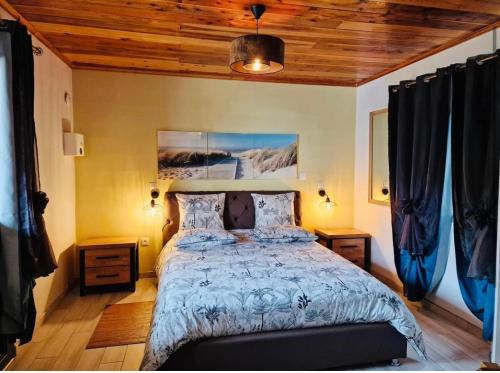 una camera con letto e soffitto in legno di CHAMBRES ET TABLES D'HOTE DU VOYAGEUR a La Plaine-des-Palmistes