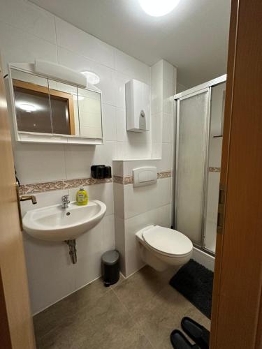 a bathroom with a toilet and a sink and a shower at Ferienwohnung Flaming House 2 in Bitterfeld