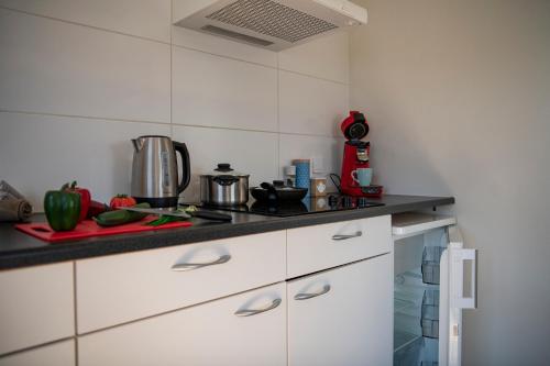 Dapur atau dapur kecil di Bicycle Storage - Close to Efteling & Safaripark Beekse Bergen & Parking!