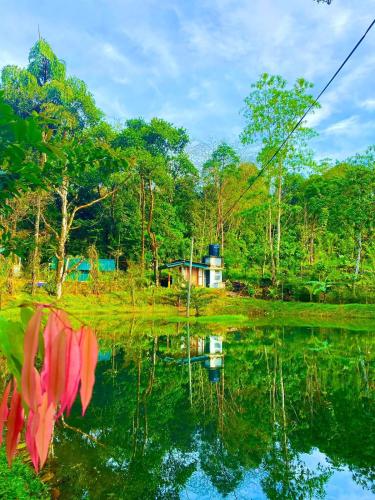 una vista de un lago con una casa en el fondo en Mist of Sinharaja Eco Lodge en Galle