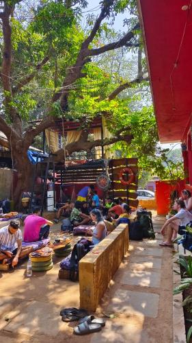 a group of people laying on the ground under a tree at Mitra Hostel in Arambol