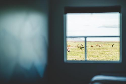 a window with a view of a field of horses at Midgard Base Camp in Hvolsvöllur