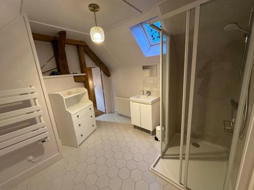 La salle de bains est pourvue d'une douche et d'un lavabo. dans l'établissement Maisons de campagne au calme en Sologne pour groupe avec piscine - proche de Paris, à Brinon-sur-Sauldre