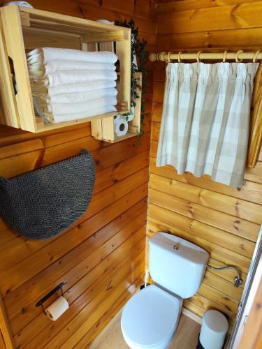 a small bathroom with a toilet and towels at Cabaña los chorros in Riópar