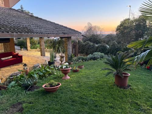a garden with a row of potted plants in the grass at Residenza Ca' degli Enzi in Verona