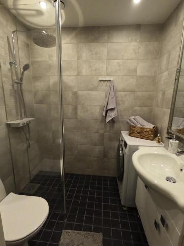 a bathroom with a shower and a toilet and a sink at Turu in Viljandi