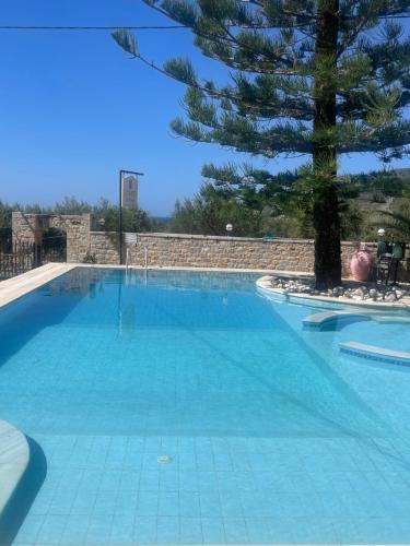 a large swimming pool with a tree in the middle at LITHOS by the sea in Neo Itilo
