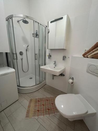 a bathroom with a shower and a toilet and a sink at Apartmány Zvonárska in Košice