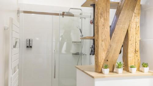 La salle de bains est pourvue d'une douche et de quelques plantes sur une étagère. dans l'établissement Le Repaire des Templiers - 6 pers. - Cour Calme, à Troyes
