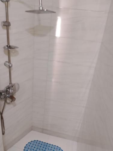 a bathroom with a shower with a blue tile floor at Two Lions Hotel in Tbilisi City