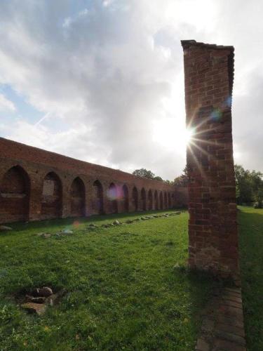 a brick wall with the sun shining behind it at Klosterblick in Bad Doberan