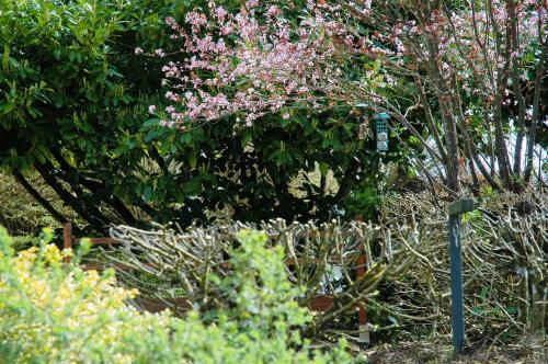 a garden with pink flowers and plants at Au Grand Fête, B&B à la campagne in Le Fête