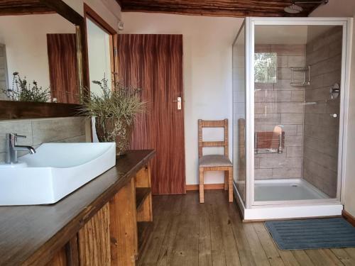 Paradise River Lodge في هويدزبروت: حمام مع حوض ودش