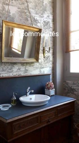 une salle de bain avec un lavabo et un miroir sur un comptoir dans l'établissement Château de famille en Poitou, à Coudavid