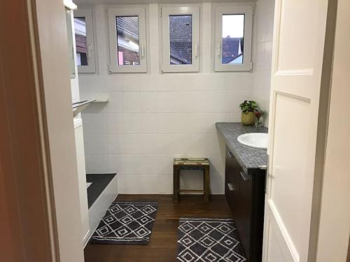 Baño pequeño con lavabo y lavabo en * La Petite Alsacienne *, en Ammerschwihr