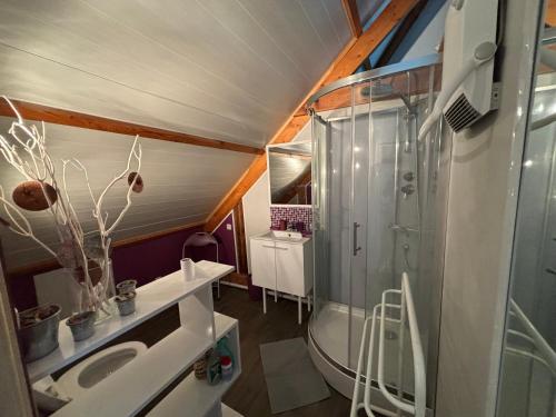 une salle de bain avec douche et lavabo dans l'établissement À l'orée du bois, à Étaples