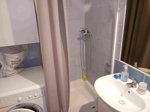 La petite salle de bains est pourvue d'une douche et d'un lavabo. dans l'établissement Apartman Selska, à Zagreb