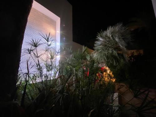 a room with plants in front of a building at Hotel La Residence Hammamet in Hammamet